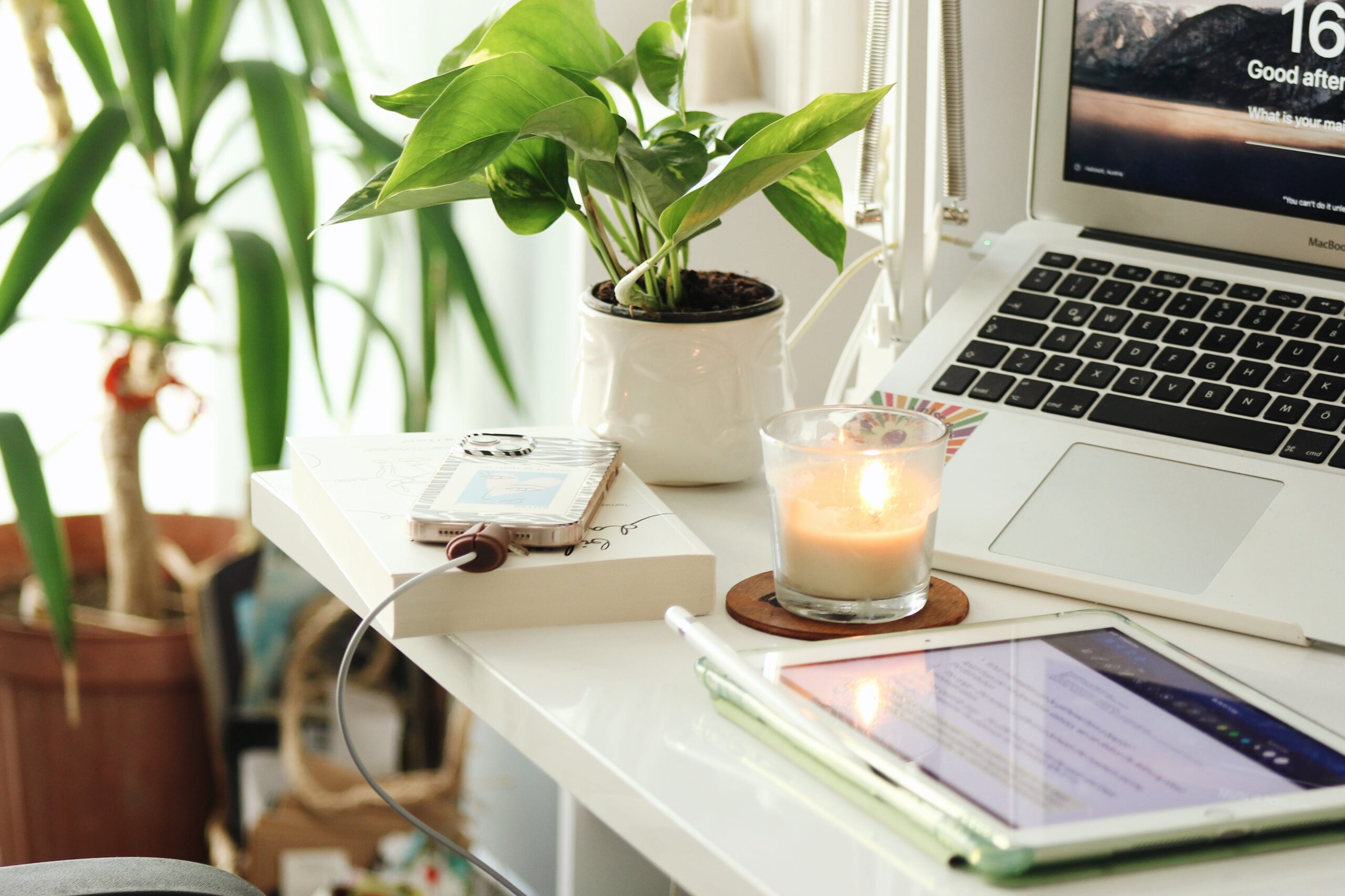 5 BILJAKA ZA TVOJ RADNI PROSTOR KOD KUĆE (Home office biljke) vani bossa